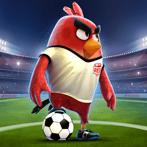 birdsgoal
