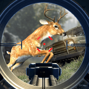 Safari Hunt 2018
