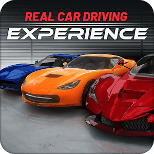 Real Car Driving Experience