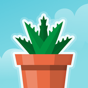 Terrarium